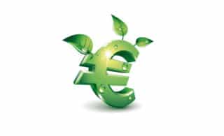 green-euro-icon