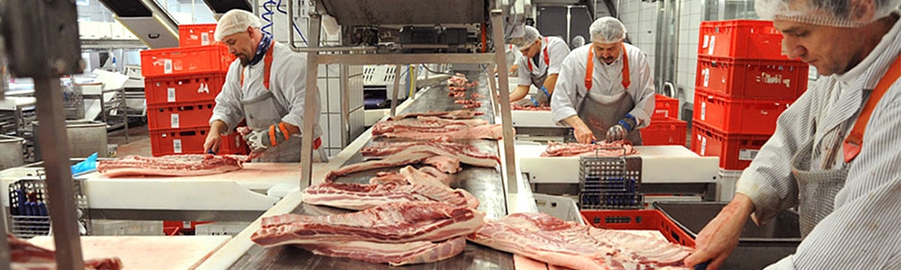 Fleischerproduktionsanlage bei Wiesbauer, der über eXite EDI-Nachrichten austauscht