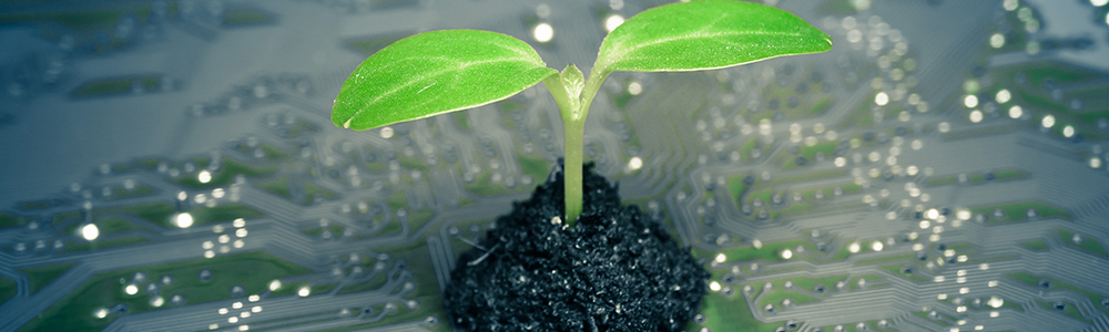 Počítač a malá rostlina - symbol firem, které se chovají šetrně k životnímu prostředí pomocí EDI.